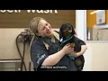 Petco Why work at Petco