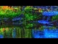 Welcome to our Natural Ponds Lakes and Streams designed by Biologists Built by nature