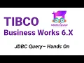 TIBCO BW6 Tutorial Hands On Guide to JDBC Query Part 2