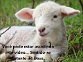 Download Lagu ▶ DEUS ME LEVANTA   ICM   Igreja Cristã Maranata