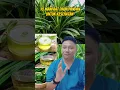 10 MANFAAT DAUN PANDAN UNTUK KESEHATAN