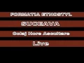 Download Lagu FORMATIA ETNOSTYL SUCEAVA  Colaj Hore Ascultare