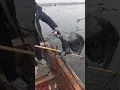 Download Lagu Fishing with cormorant 🦤🐟 PART 36 #fishing #shorts