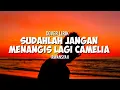 Download Lagu Cover lagu Sudahlah jangan menangis lagi Camelia