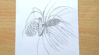 How to draw a pinus easy way step by step