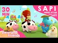 Sapi, Anak Ayam Piyik Piyik, dan Lagu Lainnya - 4K - 30 Menit Kompilasi Lagu Anak Indonesia