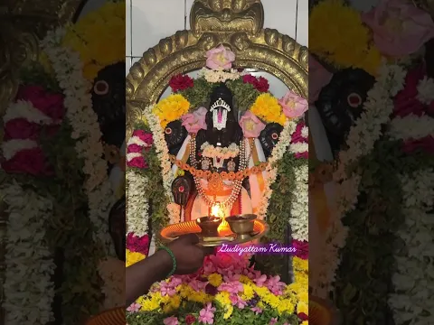 Govinda Govinda #gudiyattamkumar #youtubeshorts