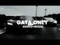 Download Lagu Gata Only Slowed \u0026 Reverb