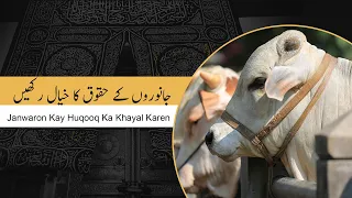 janwaron kay huqooq ka khayal karen qurbani kay masail mukarram shah abdul qadir