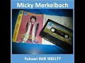 Download Lagu Dokter - Micky Merkelbach