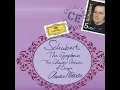 Schubert: Symphony No. 1 in D Major, D. 82: I. Adagio - Allegro vivace