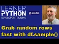 Getting a random sample from your pandas data frame
