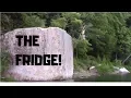 Kinzua Cliff Jump aggressive carp