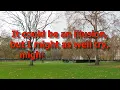 Grateful Dead - Scarlet Begonias (Lyric Video - 2015 Studio Remaster)