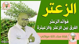 فوائد الزعتر الفرق بين الزعتر والزعيترة مع الدكتور عماد ميزاب Dr Imad Mizab 