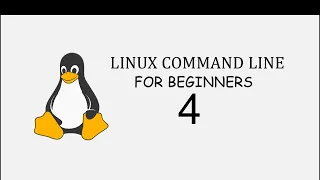 Linux Command Line For Beginners 4 - cat command