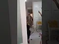 Mevlütte Star Assolist edasında şarkı söyleyen teyze