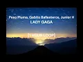 Peso Pluma, Gabito Ballesteros, Junior H - LADY GAGA [1 HOUR LOOP]