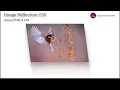 Image Reflection in CSS Realistic Using HTML CSS