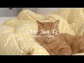 Download Lagu Chite Suit Te — Slowed and Reverb