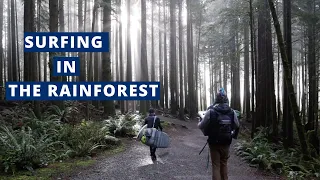 Winter Surfing Trip and Cold Dip // Living on a Sailboat in Canada Ep. 6