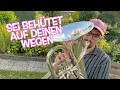 Download Lagu Sei behütet auf deinen Wegen - Songwriter Clemens Bittlinger - feat. @jensomatico  - Brass Cover