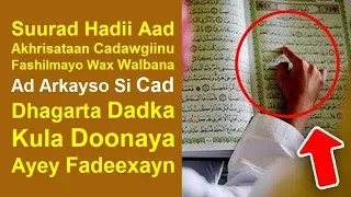 Suurad Hadad Aqriso Fadeexayn Dadka Dhagarta Kula Raba 