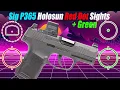 Top 4 Sig P365 Holosun Red Green Dot Sights
