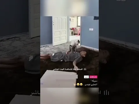 Este hombre le hizo una broma a su mono que malinterpreto las cosas