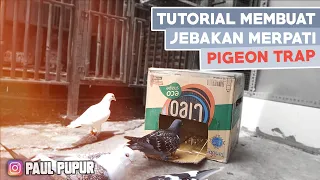 Download CARA MUDAH MEMBUAT JEBAKAN MERPATI DARI KARDUS BEKAS - BEST PIGEON TRAP EASY USING BOX MP3