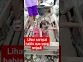 Download Lagu Keisha main di gerobak tiba -tiba da sesuatu yang terjadi 🤔🤔🤔
