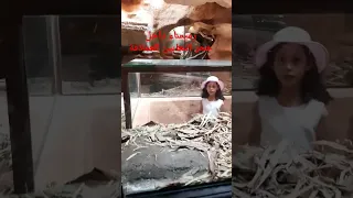 داخل جحر الثعابين العملاقة 