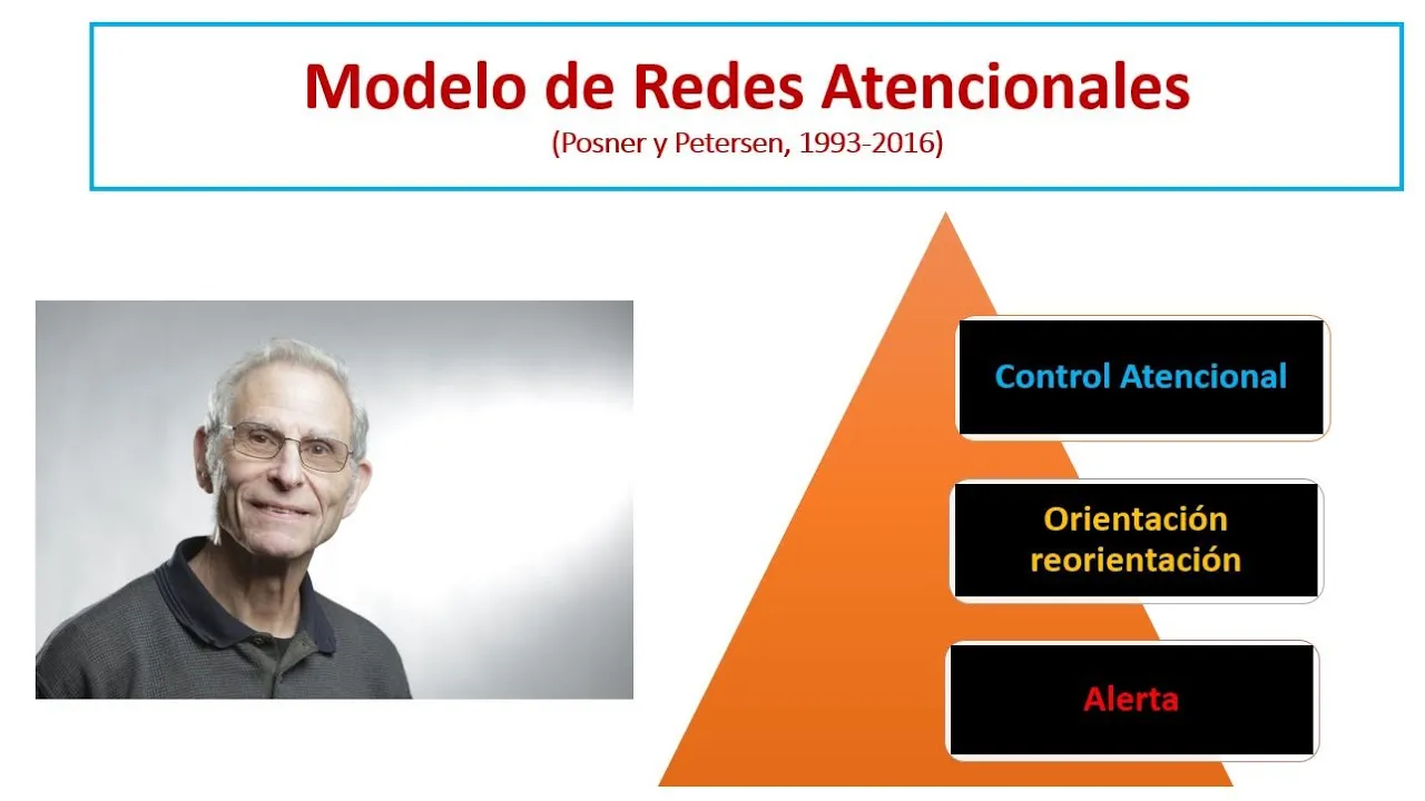 Neuropsicología de la Atención