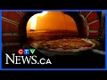 Consumer Reports on which pizza ovens are the best