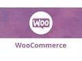 WooCommerce Theme Development WordPress Theme and WooCommerce Setup