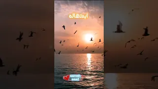 لو الفيديو ده فاتك يبقى فاتك نص عمرك    لايك   دندنها