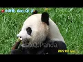 Download Lagu 2025年10月1日