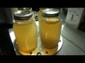 canning chicken stock