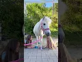 Download Lagu Glitter pony😍 Eco friendly glitter✨♻️ #shorts #horse #equestrian