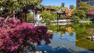 Lan Su Chinese Garden is 2024