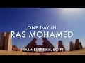 Download Lagu One Day In Ras Mohamed - South Sinai, Egypt