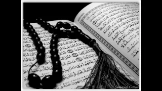 سورة يوسف كاملة بصوت الشيخ أبو بكر الشاطري قرآن كريم 