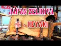 Download Lagu 欅です。・keyaki・Japan Zelkova awing!!