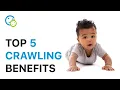 5 Tips to Know About Crawling