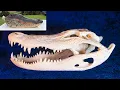 SKULL CLEANING - How To Clean an ALLIGATOR Skull Easy European Mount