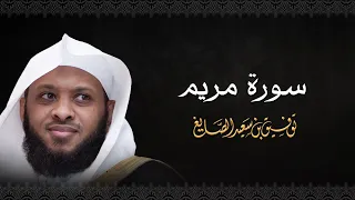 سورة مريم الشيخ توفيق الصايغ الذكر الحكيم 