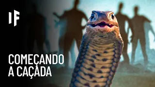 E se todas as cobras desaparecessem?
