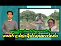 Download Lagu ဘူးလတ်ကိုစောက်ရှက်ခွဲလိုက်တဲ့အောင်မင်း