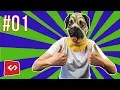 The Best HTML template engine for Front-End Developers - Meet Pug 01
