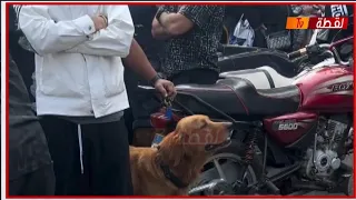 مشهد مؤثر بكاء كلب ضاضا الليثي أثناء صلاة الجنازة علي إسماعيل الليثي بعد رحيله ويرفض ترك المكان 